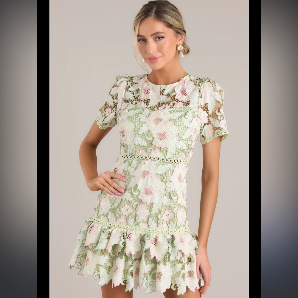 Light green floral embroidered dress, has pops of light pink. Boutique brand